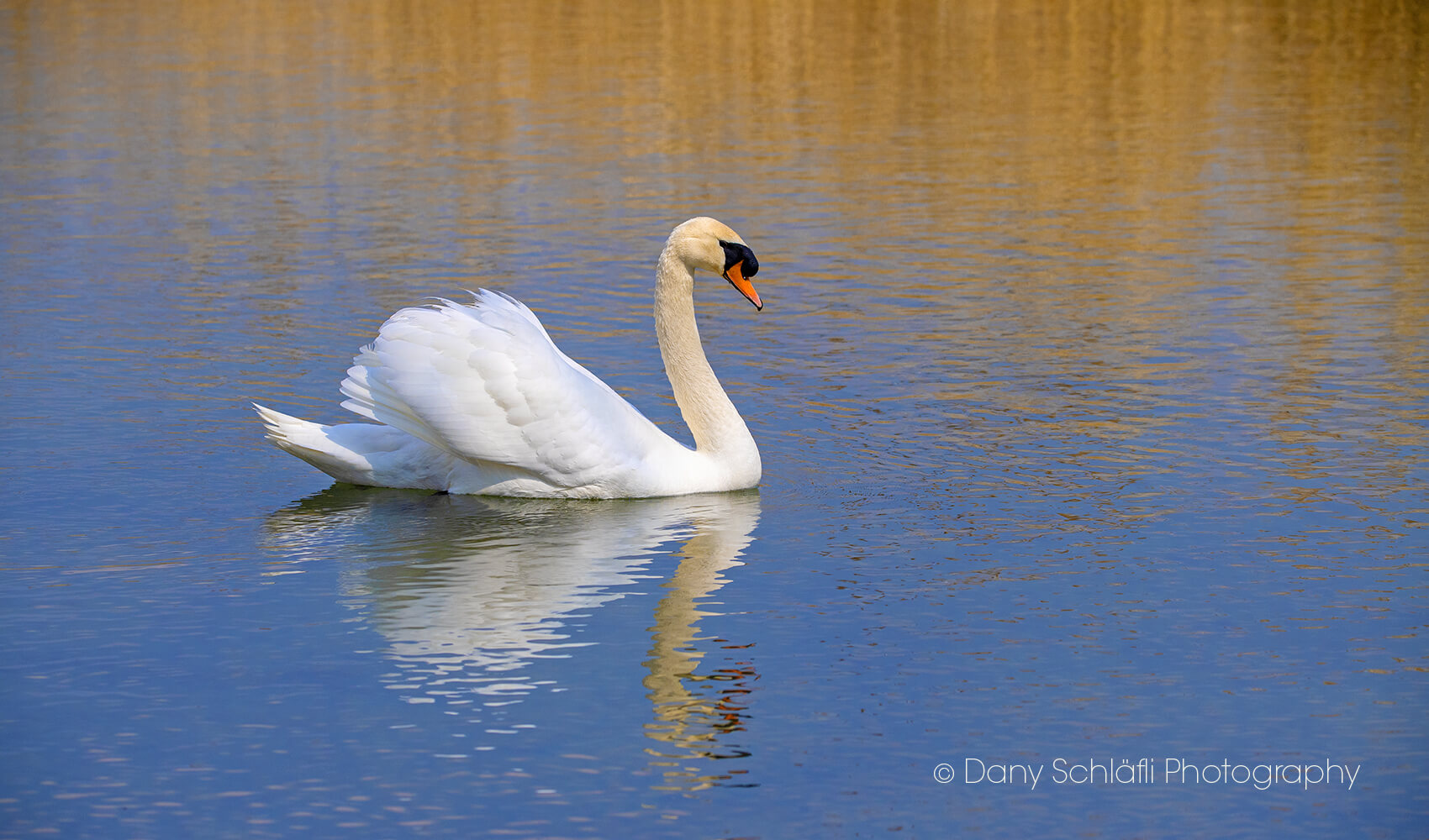 auf dem Wasser