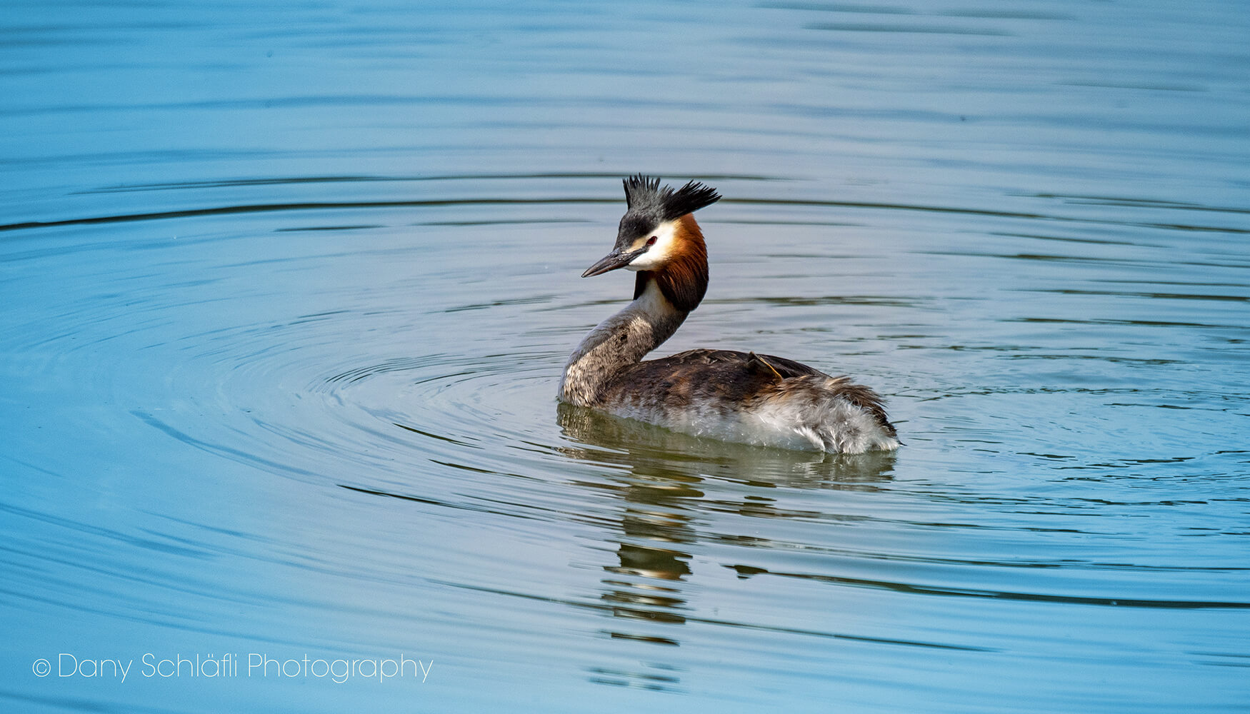 auf dem Wasser