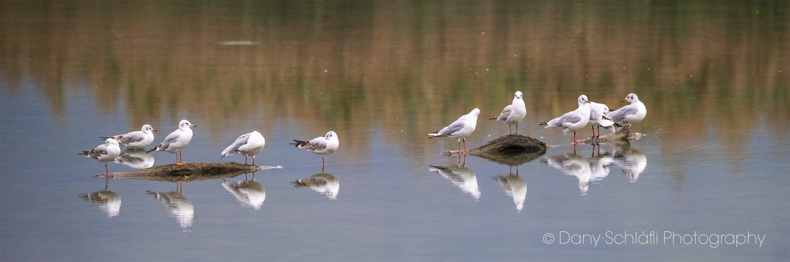 auf dem Wasser