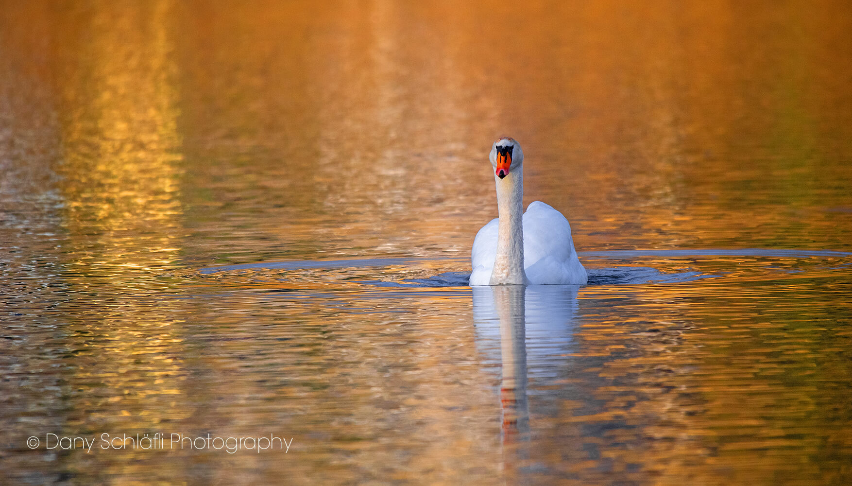 auf dem Wasser