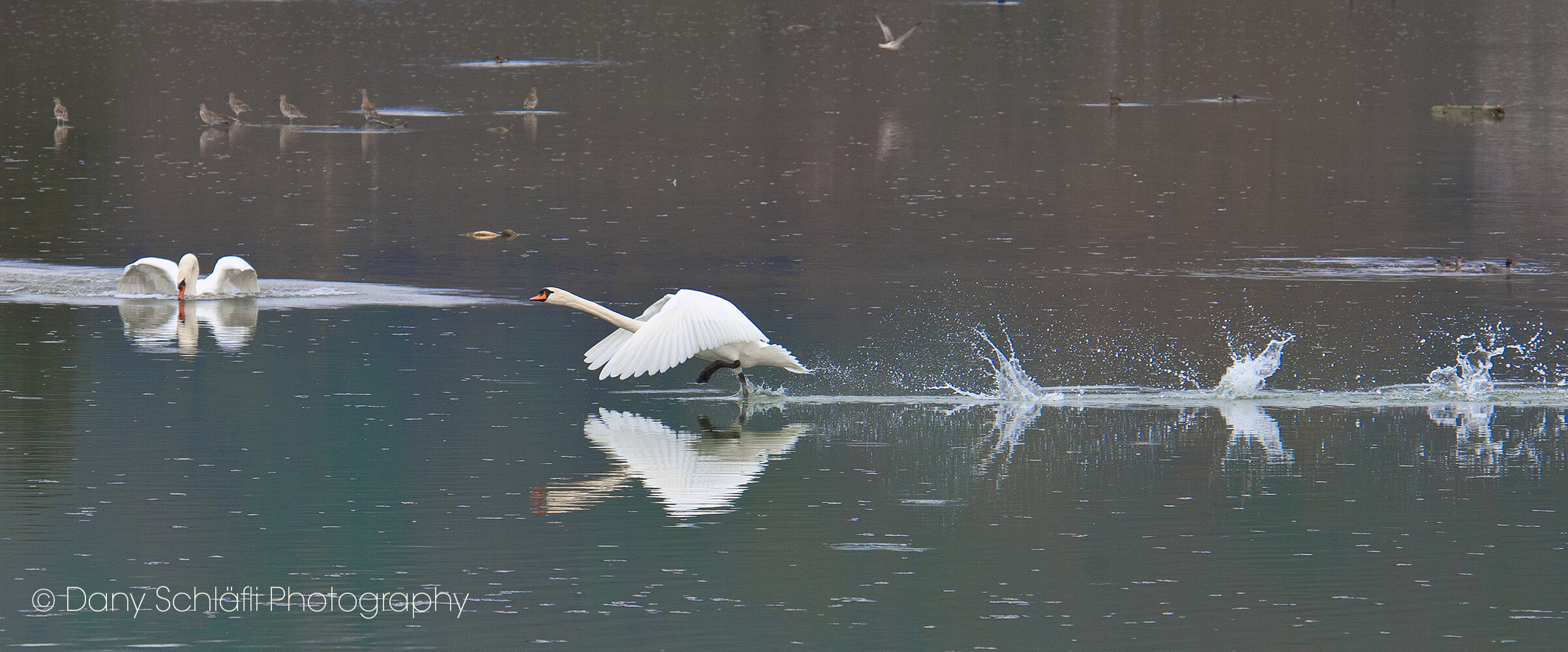 auf dem Wasser