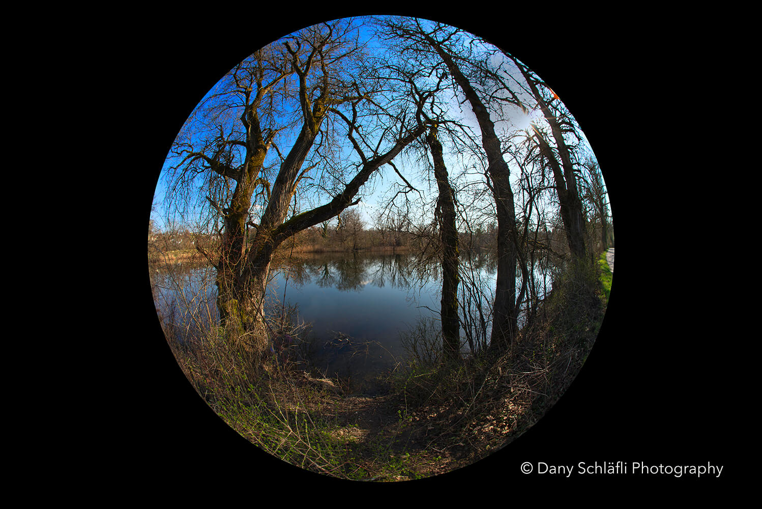 Aus der Sicht des Froschs