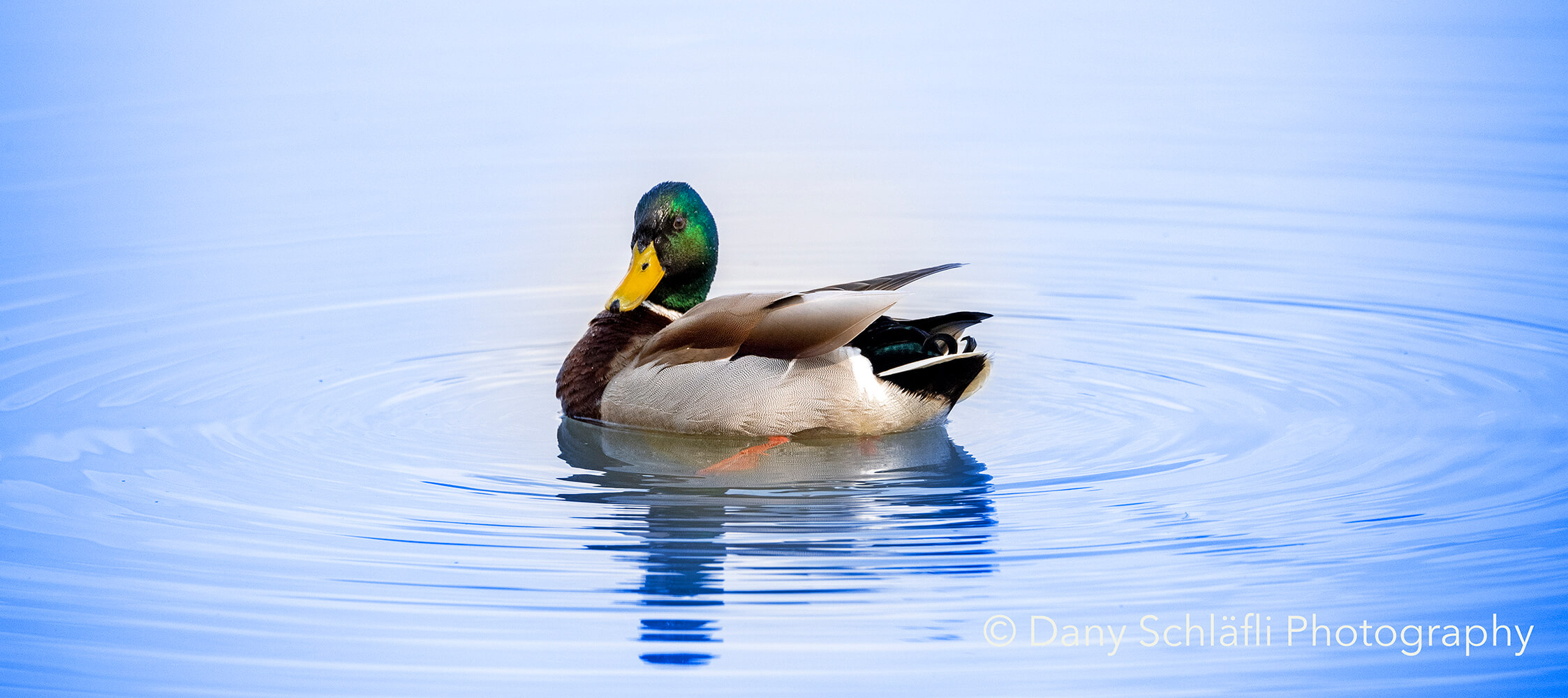 auf dem Wasser