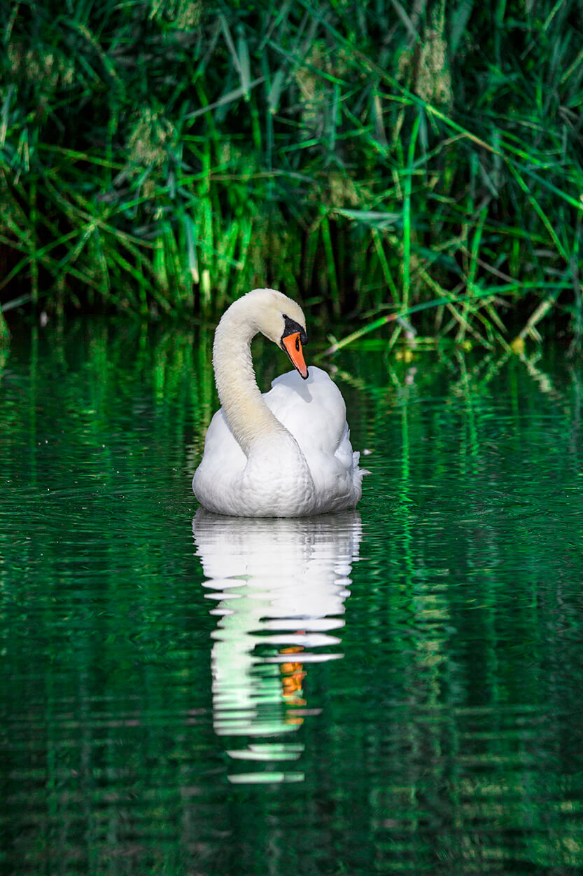 auf dem Wasser