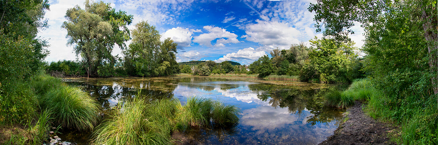 Weiher_03